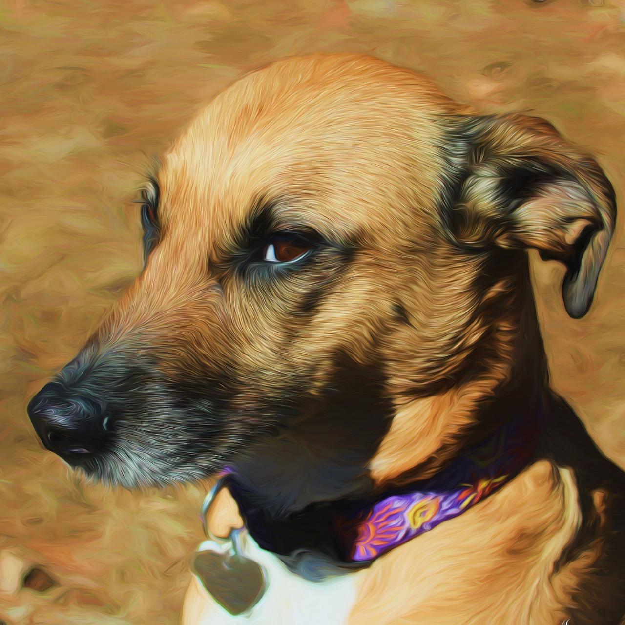 如何收藏抽象油画