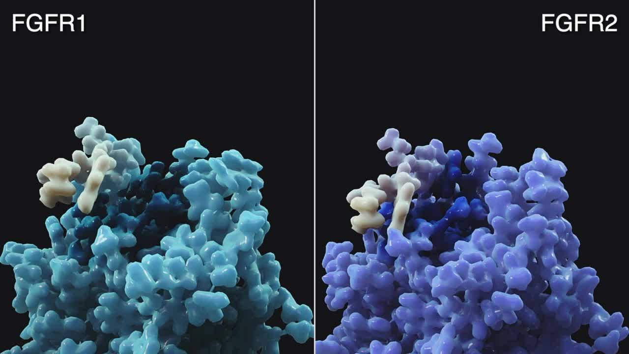 Relay Therapeutics技术一窥 知乎