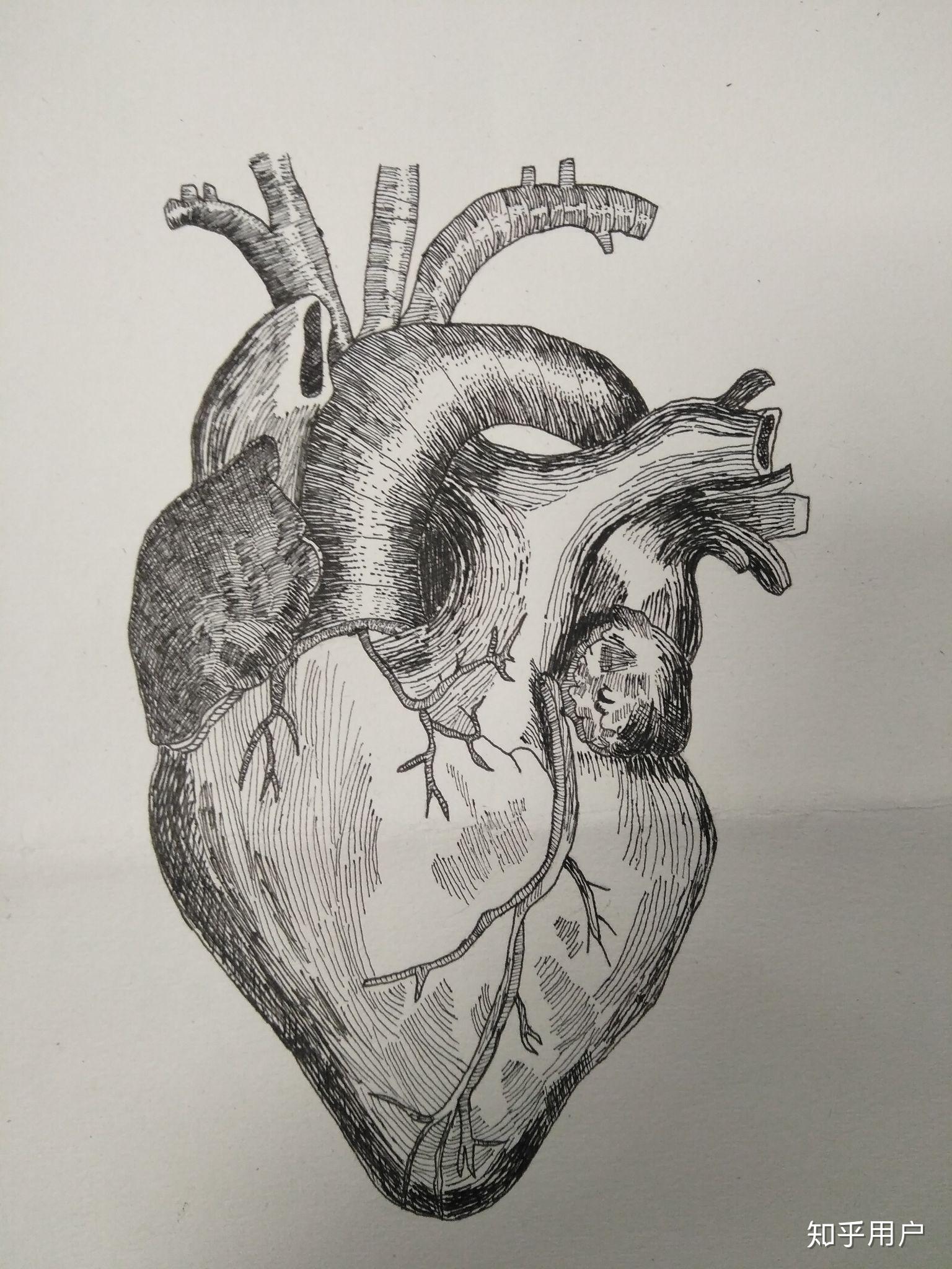 有哪些医学绘画作品可以拿来分享