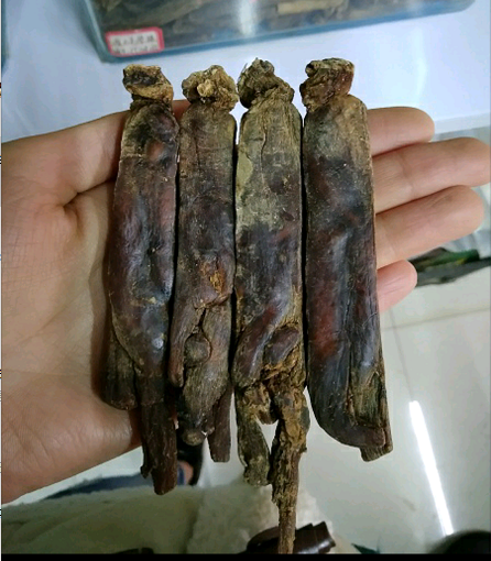 韩国在卖的高丽参到底值不值那个价? - 知乎