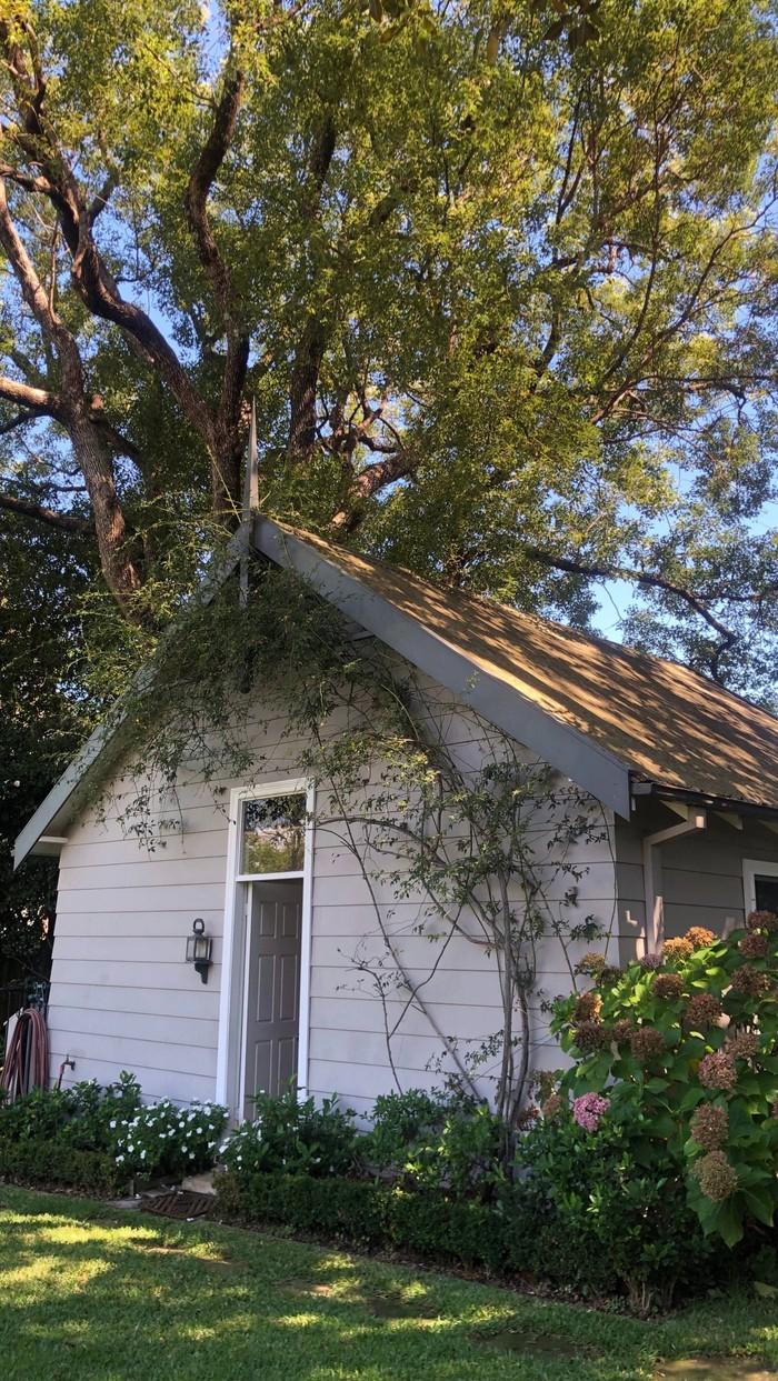 有哪些极富美感的绿色系壁纸?(绿色壁纸唯美小清新)