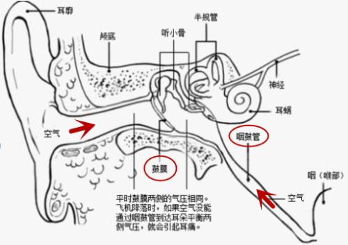 在商场,或者室外会有一种耳朵被堵住的感觉,说话有点说不清,就是那种