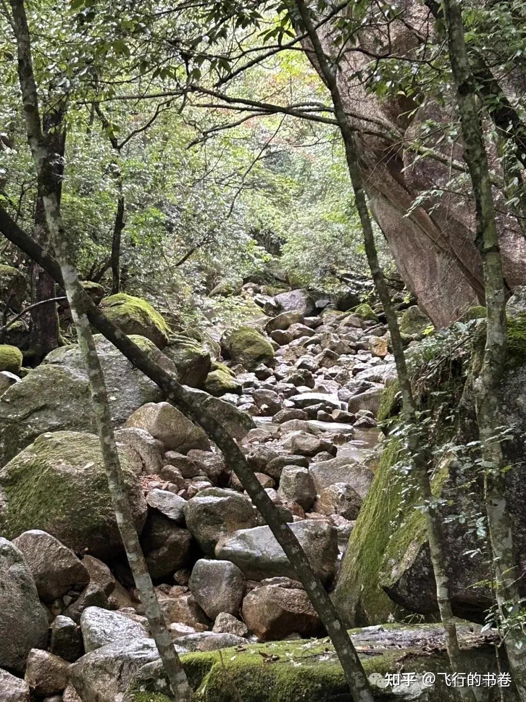 黄山雨中独行记(一):从云谷寺徒步到白鹅岭,一路有啥美景? - 知乎