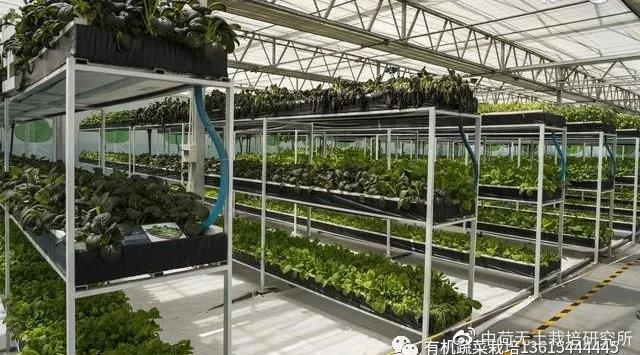 向设施农业要食物:大力发展设施种植业的建议→ - 知乎