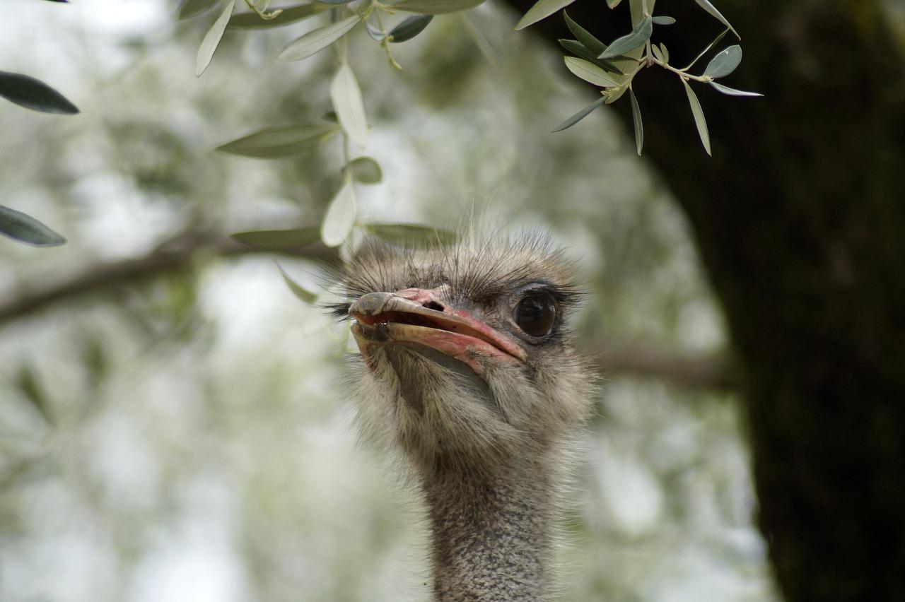 10安能走多少公里