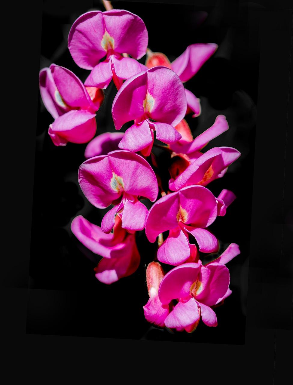 空气中飘散的夏意