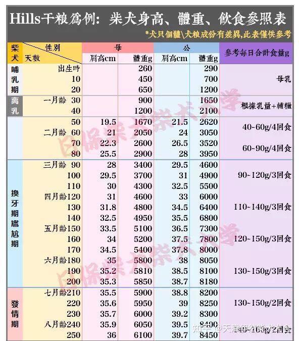 柴犬85天体重12斤正常吗赤柴小公