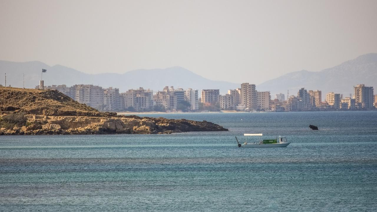 4. 刺柏造型艺术