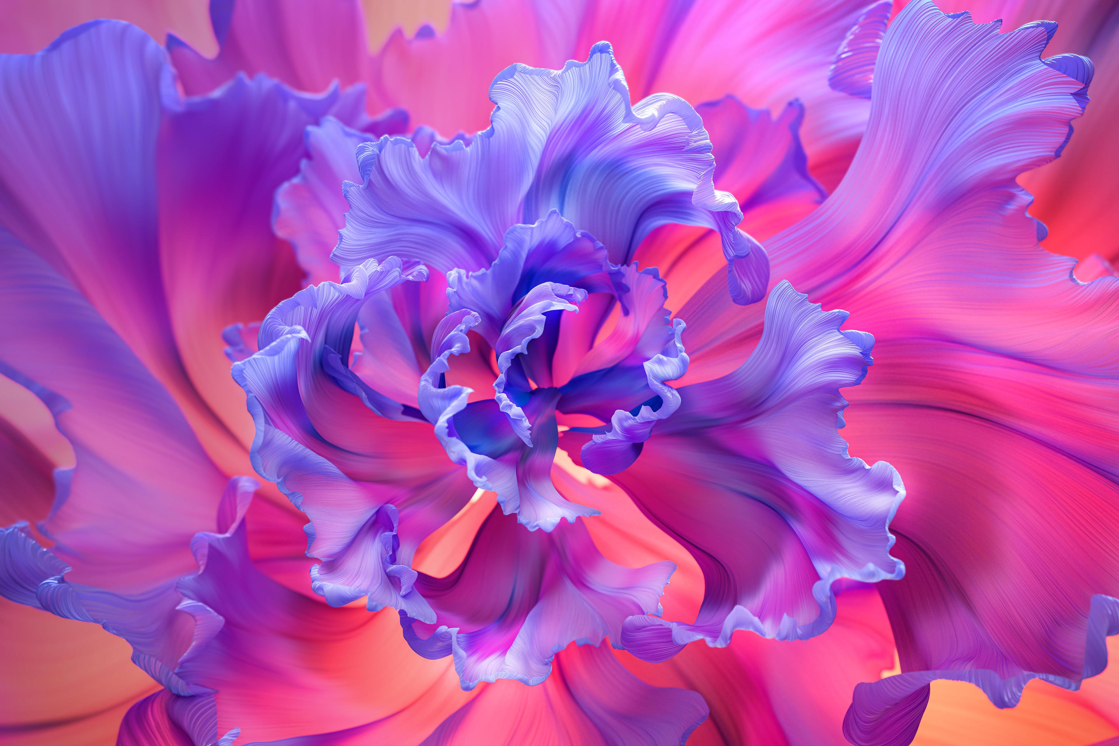 有没有适合ipad的壁纸呀