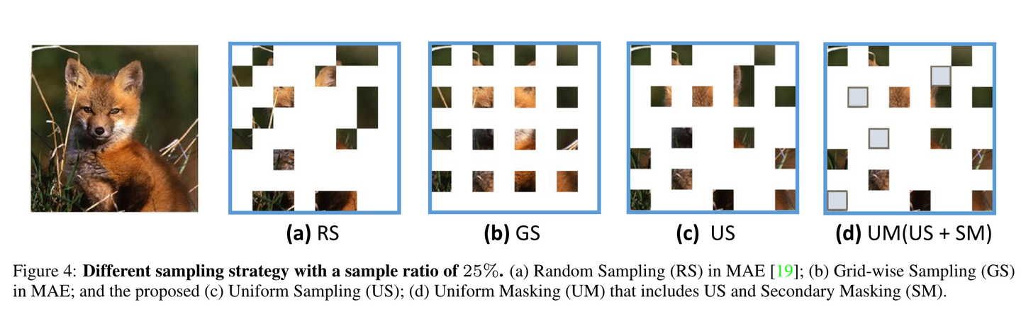 Mask Autoencoder 各类变体 - 知乎