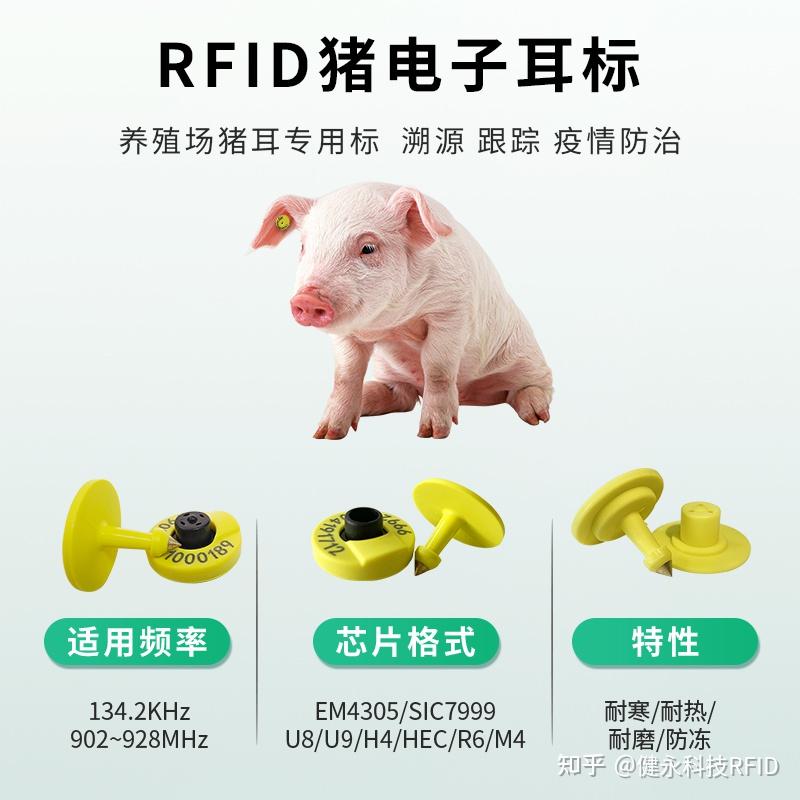 猪用RFID电子耳标在养殖场内能用在哪方面 - 知乎