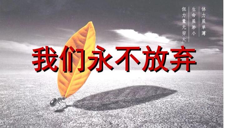 不放弃心中的希望，未来就不会放弃你 - 知乎