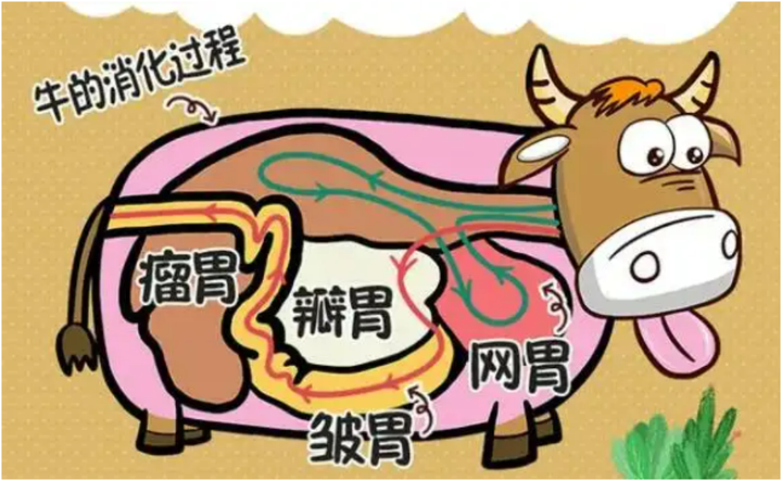 降低牛瘤胃中甲烷首选丝兰提取物 - 知乎