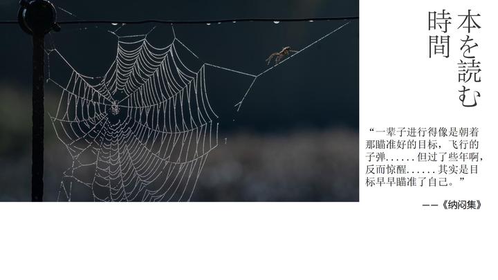 《纳闷集》—生活,是如此,亦如何 - 知乎