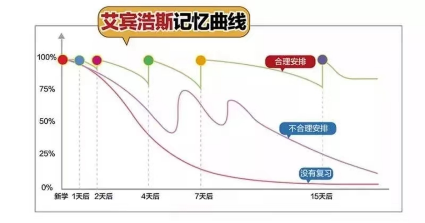 遗忘曲线