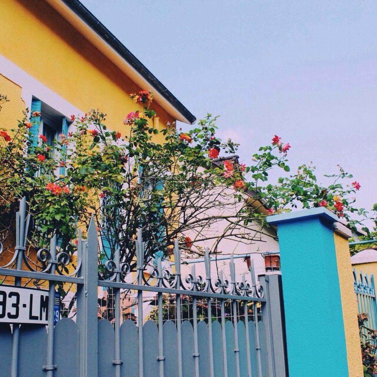 有没有好看的微信步数背景墙的图片