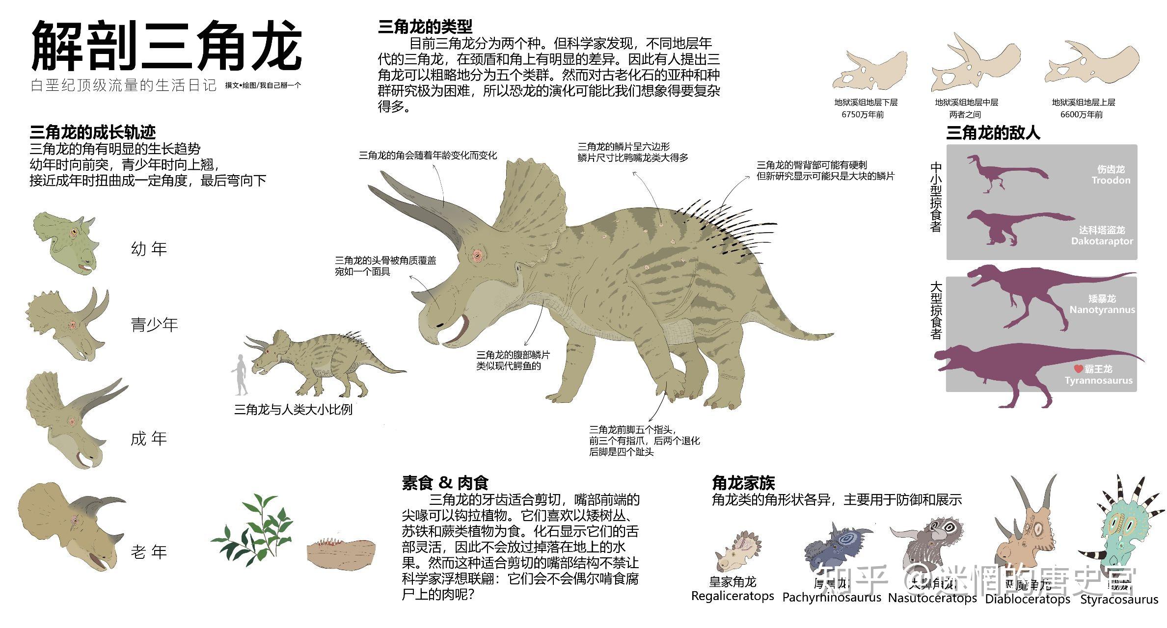 霸王龙三角龙谁厉害图片