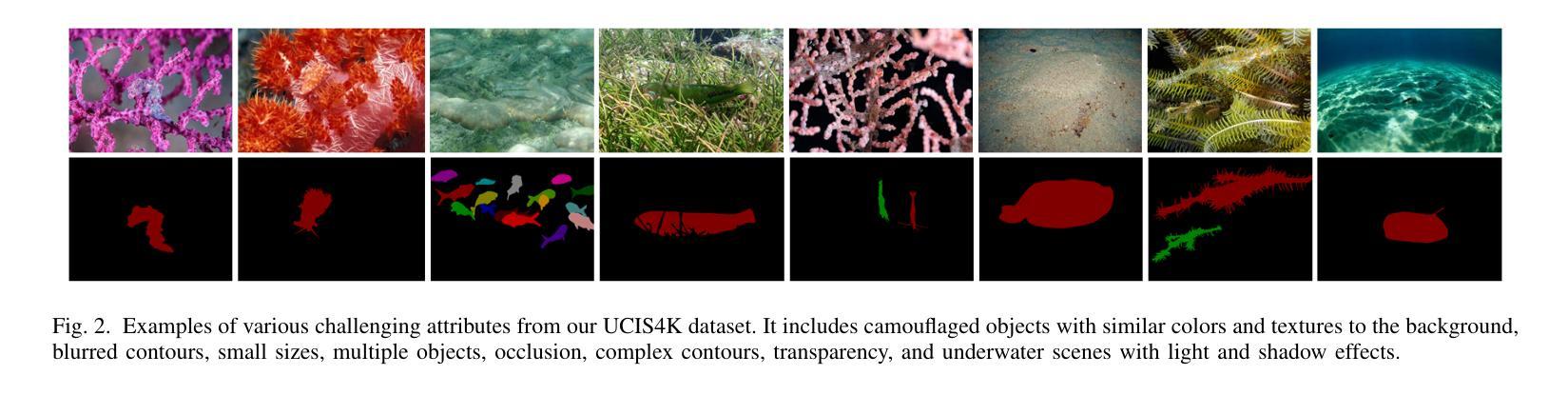 检测/分割/跟踪