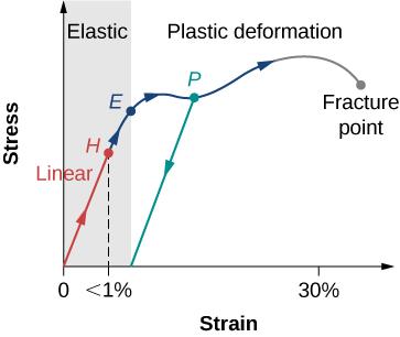 力学中位移(displacement)、挠度(deflection)和变形(deformation)之间的区别 - 知乎