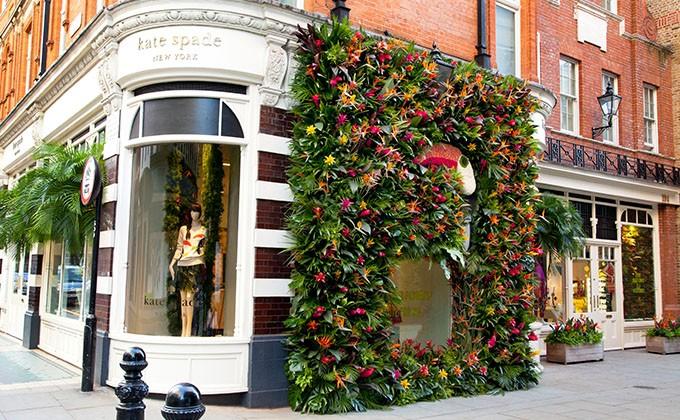 伦敦开花志 | London in Bloom - 知乎