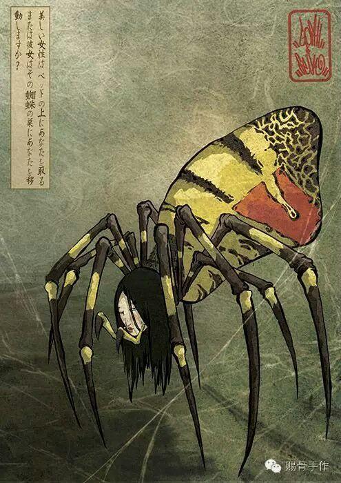 铁甲小宝里的蜘蛛侦探是哪种蜘蛛