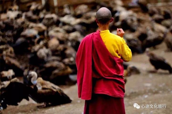 揭秘 | 让人毛骨悚然的天葬,神秘的面纱背后,到底是什么? - 知乎