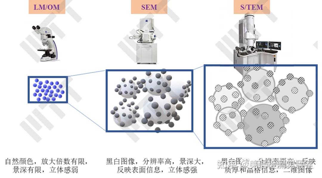 二、扫描电镜(SEM)工作原理——电镜和光镜的区别 - 知乎