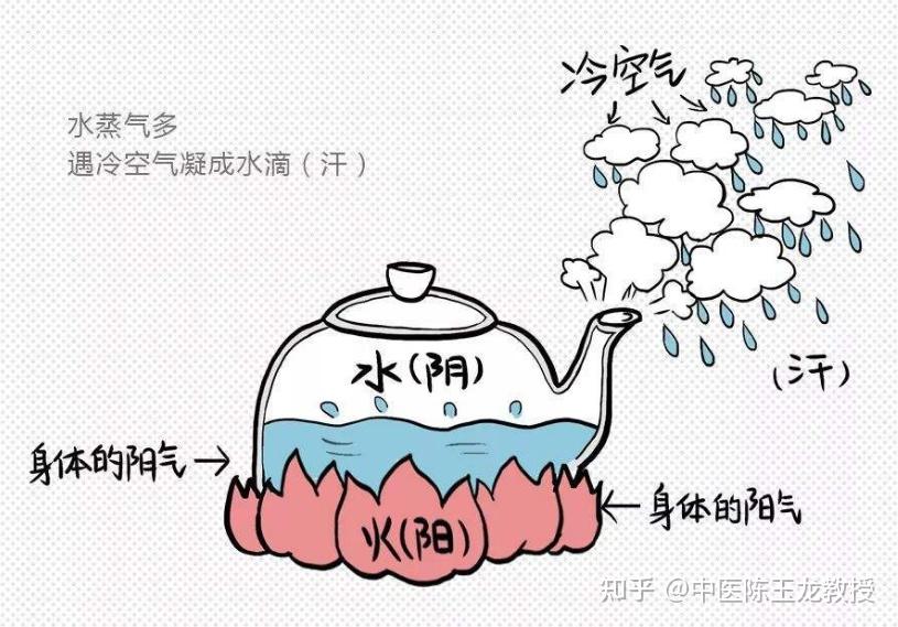 平时一动就出汗,是身体虚吗?该如何调理? - 知乎