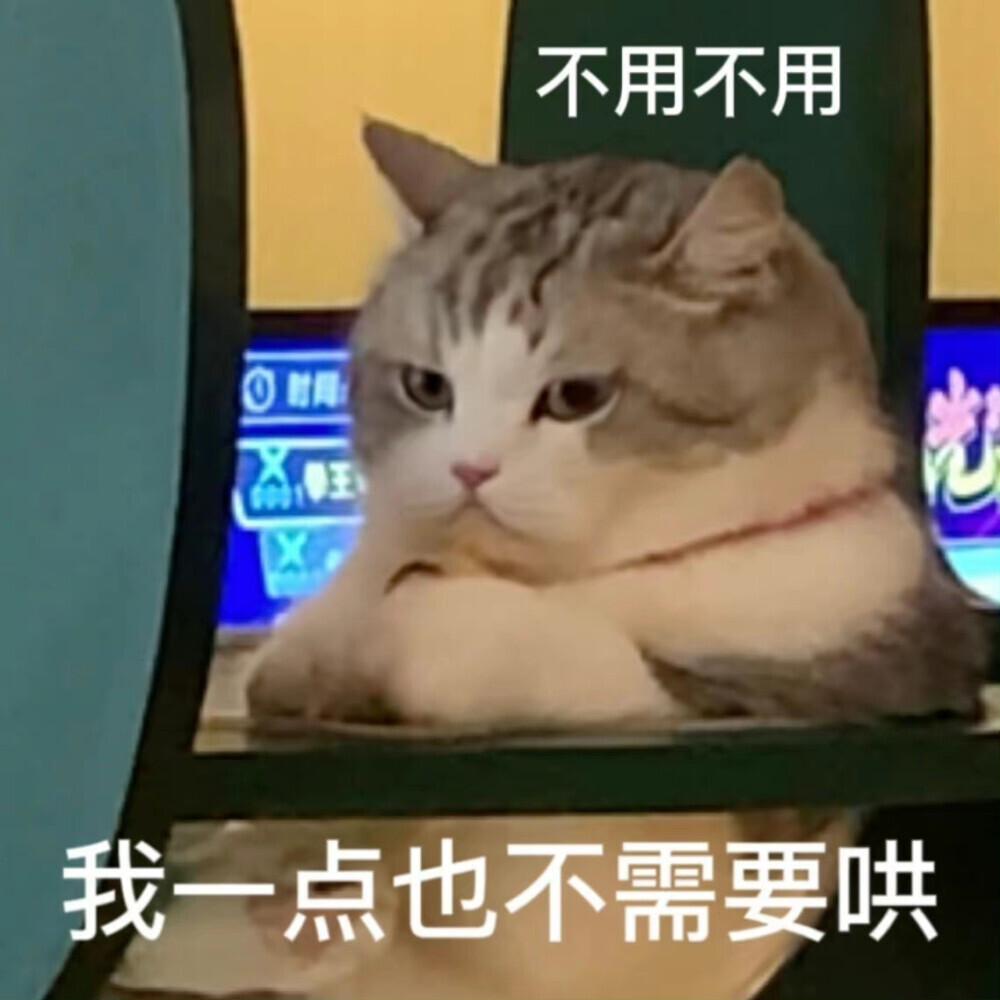 你都存了哪些可爱的表情包?