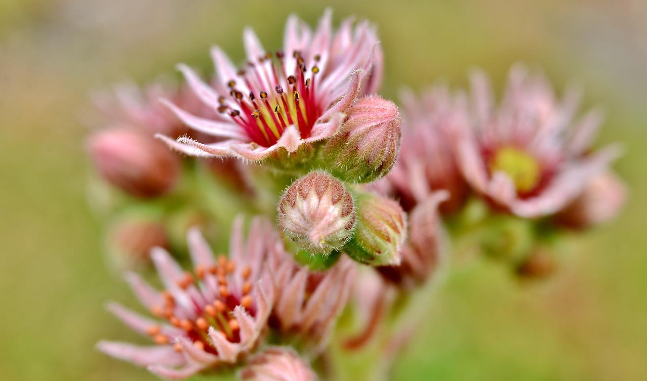 2. 南北通透采光好