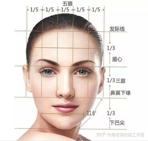 第13集:什么是三庭五眼? - 知乎