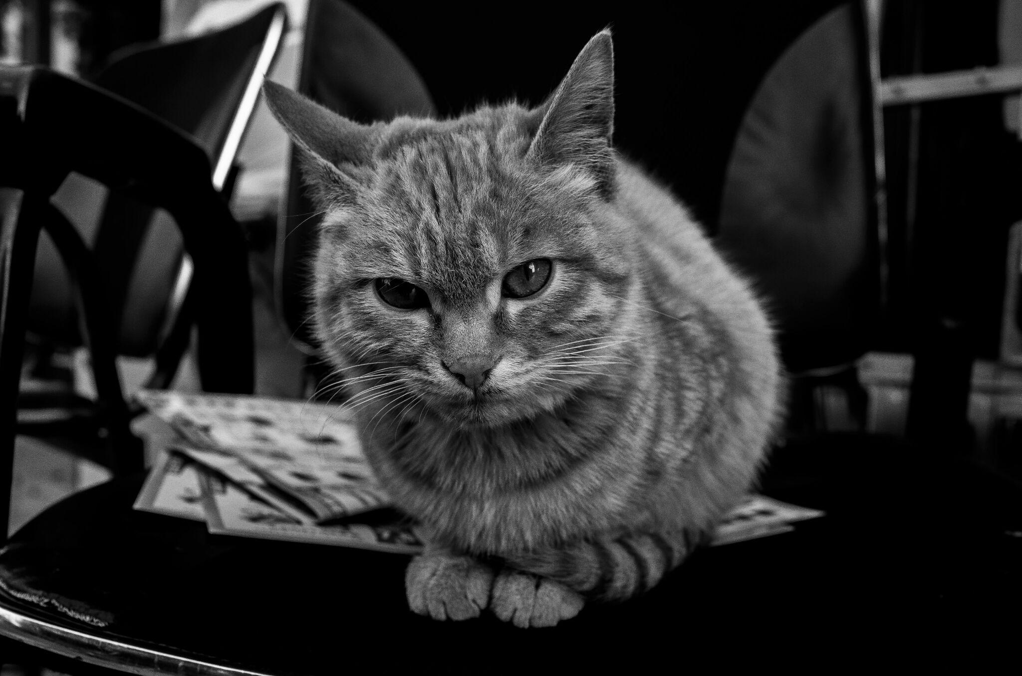 喜欢摄影的你们,都在用广角拍摄什么照片呢? - 知乎