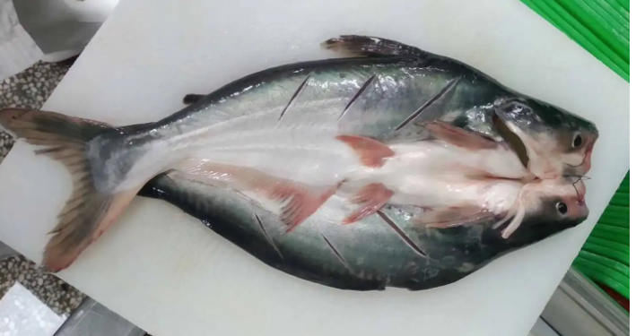 速冻调理开背鱼淡水鱼加工工艺