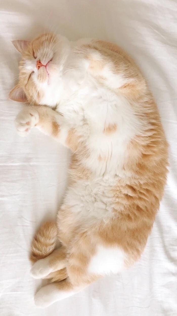 有哪些高质量的微信聊天背景图片? - 知乎