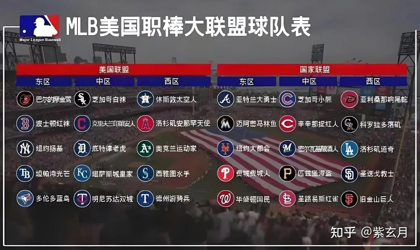 mlb和newera有什么区别 百度知道