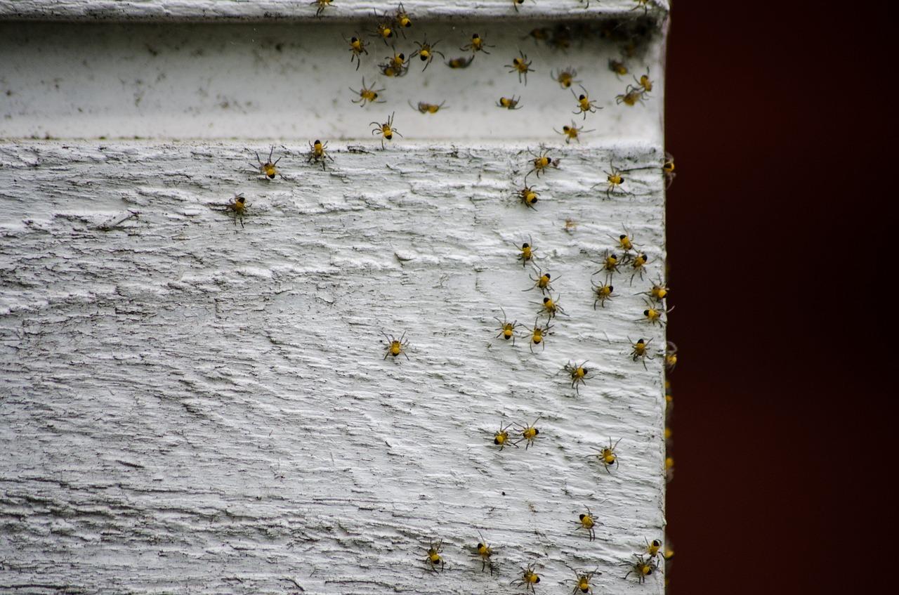 4. 关闭门窗防入侵