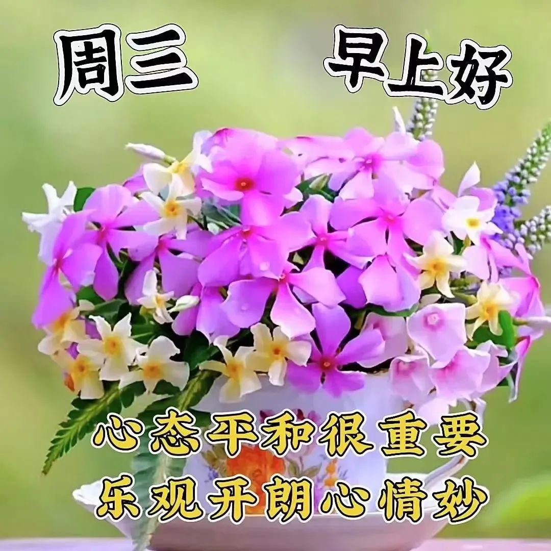 太阳升起是希望,夜晚降临是安康,清晨问候是牵挂,真诚祝福 - 知乎