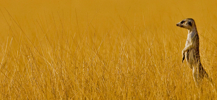 Azure Redis Python Azure Redis redis ConnectionPool Azure Redis Python Azure Redis redis ConnectionPool