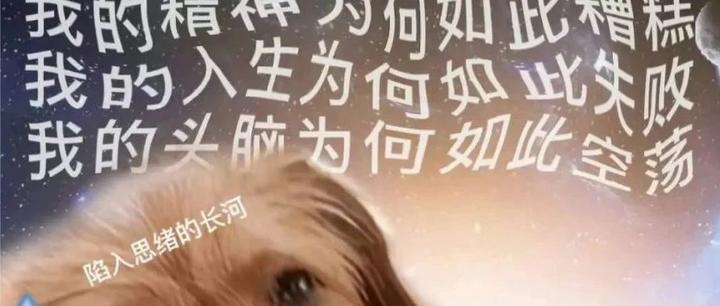 网文入门者世纪难题,去哪个网站写文更好?起点、番茄、塔读篇 - 知乎