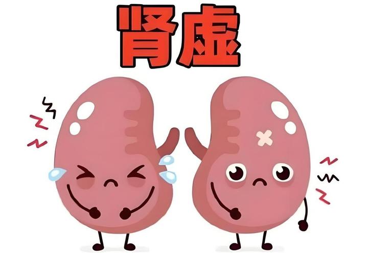 肾虚不是一药通吃!中医教你识别肾虚,对症下药才有效! - 知乎