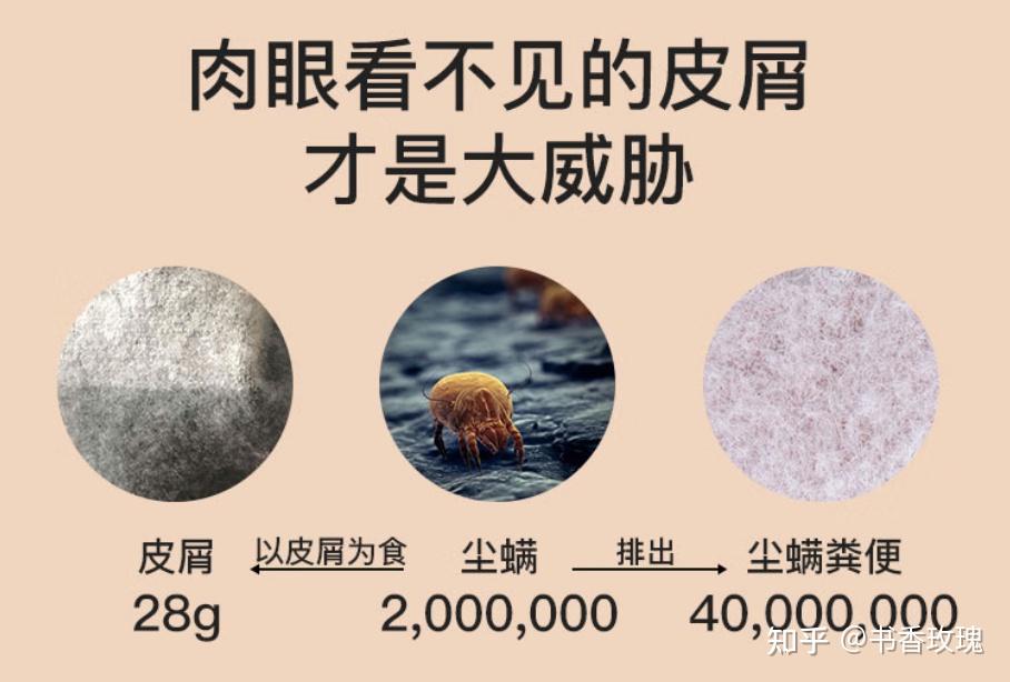 除螨仪最建议买的三个牌子是什么?2026必入除螨仪十大品牌排行榜!深度除螨盯准这几款!