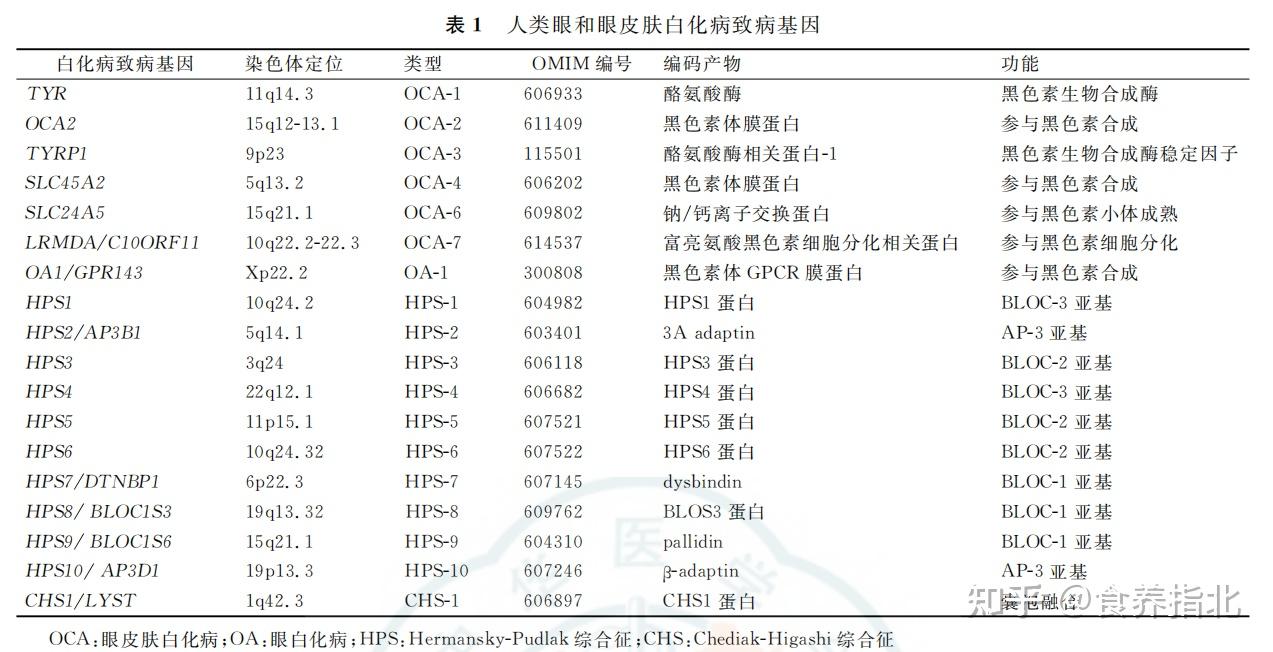白化病会对寿命有影响吗？ 知乎 