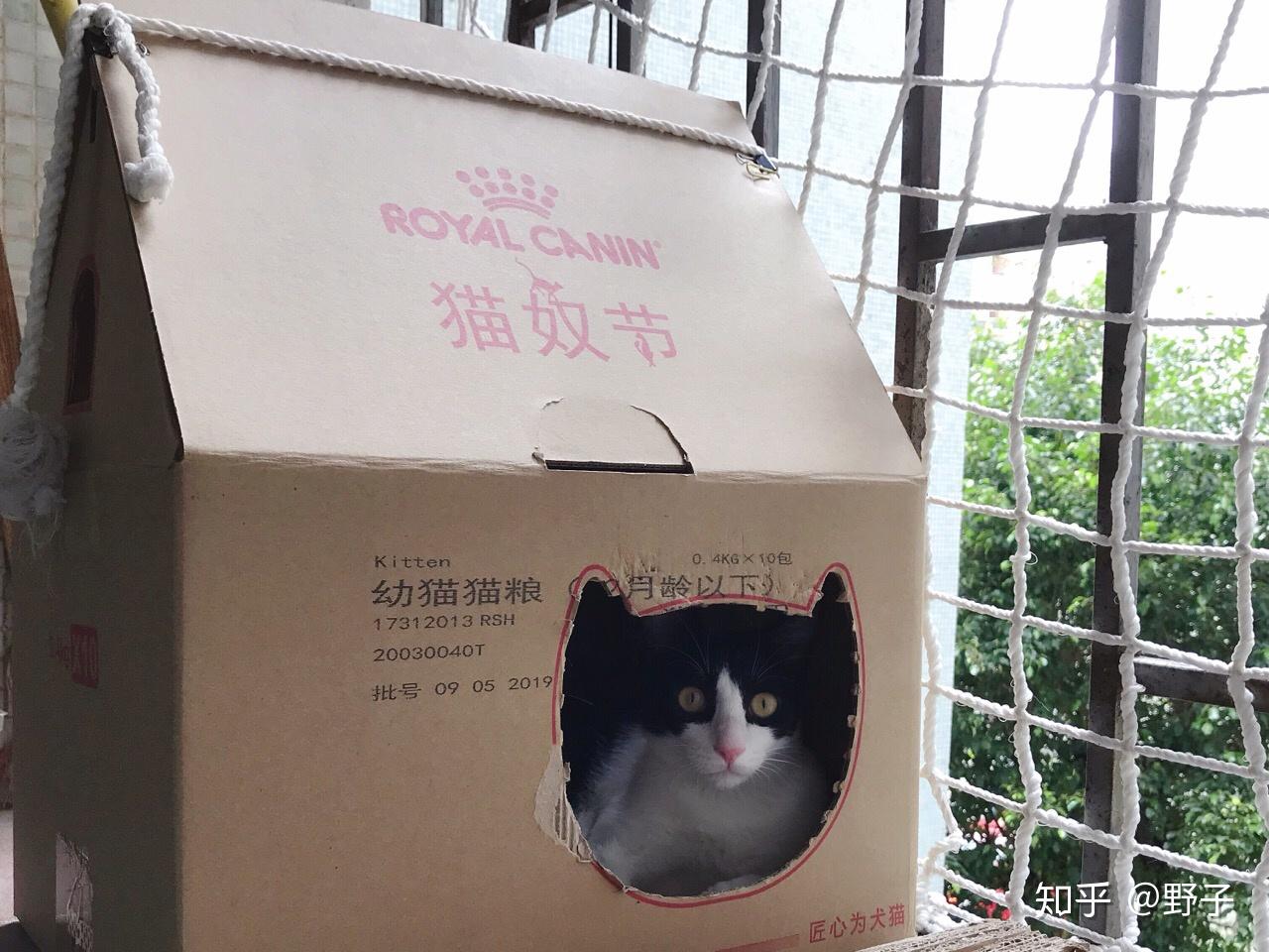 《盒子里的猫》拟邀嘉宾大揭秘，赵丽颖、陈赫、黄磊带来神秘之旅