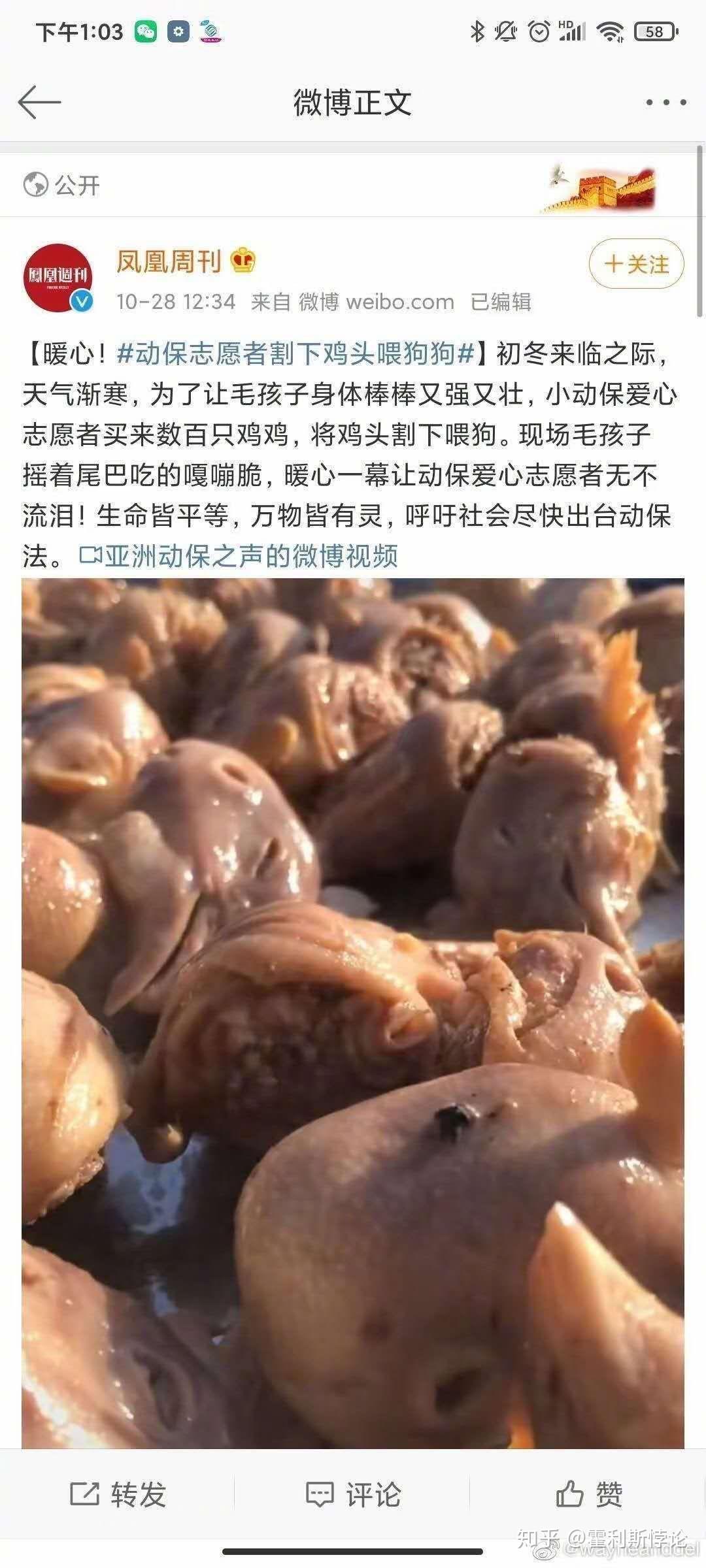 开水烫老鼠图片