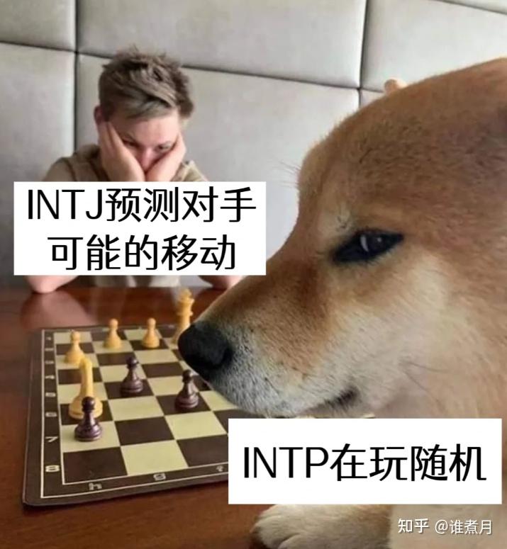 intjintp图片