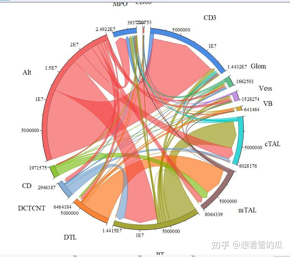 Nature图形复现—Origin绘制美观的弦图 - 知乎