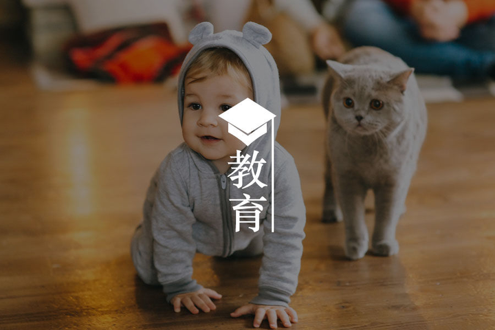 厌恶竞争，你将永无出路 - 知乎