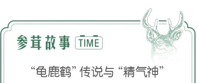 “龟鹿鹤”传说与“精气神” - 知乎