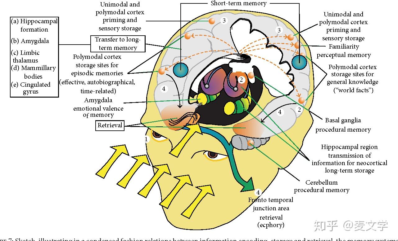 留学回来和其他人聊天自然而然在中文里夹杂英文这种