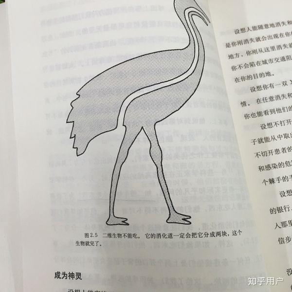 二维生物吃什么? - 知乎